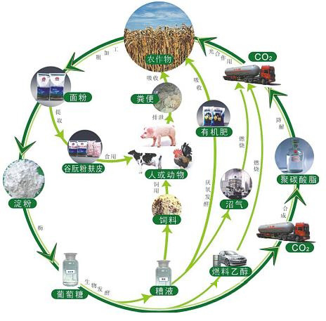 生物質發電